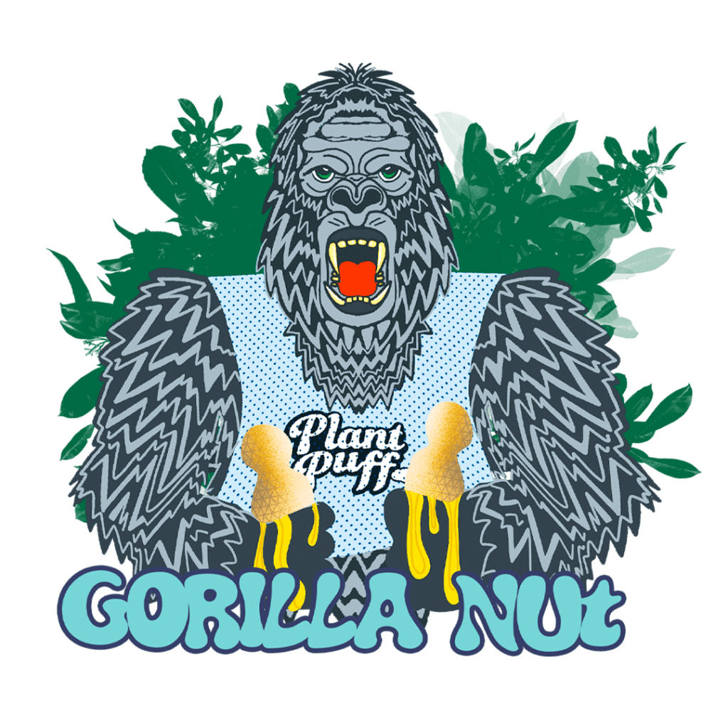Gorilla Nut Strain